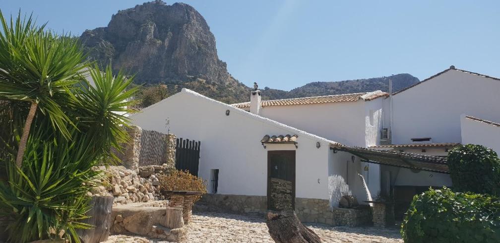 Cortijo El Pajar Guest House Ел Гастор Екстериор снимка